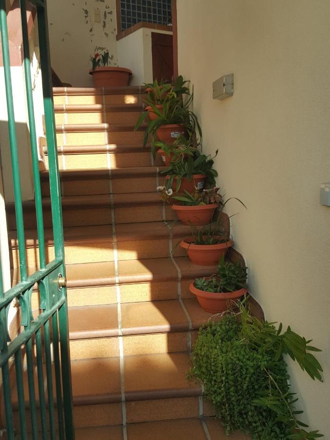Madalena do Mar Casa Mar 빌라 외부 사진